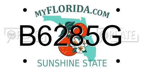 B6285G Florida License Plate