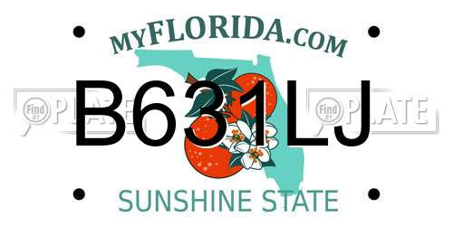 B631LJ Florida License Plate