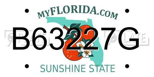 B63227G Florida License Plate