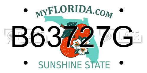 B63727G Florida License Plate
