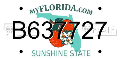 B637727 Florida License Plate