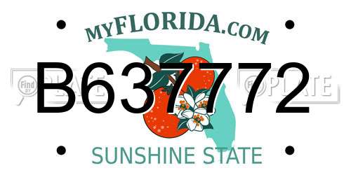 B637772 Florida License Plate