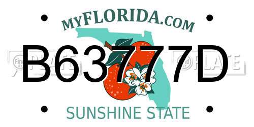 B63777D Florida License Plate