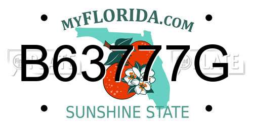B63777G Florida License Plate