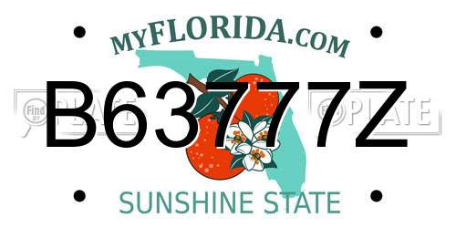 B63777Z Florida License Plate
