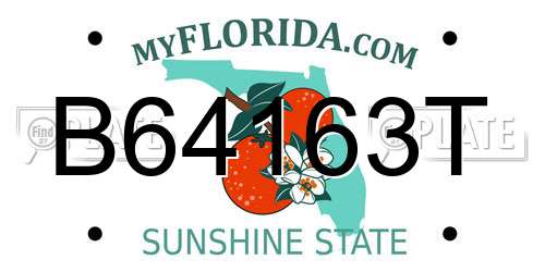 B64163T Florida License Plate