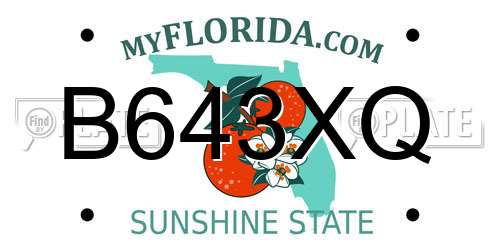 B643XQ Florida License Plate