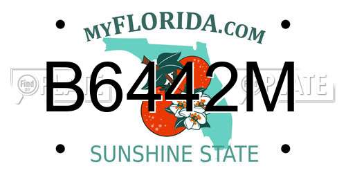 B6442M Florida License Plate