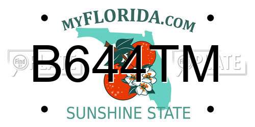 B644TM Florida License Plate