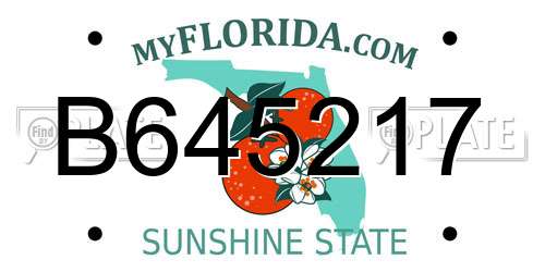 B645217 Florida License Plate
