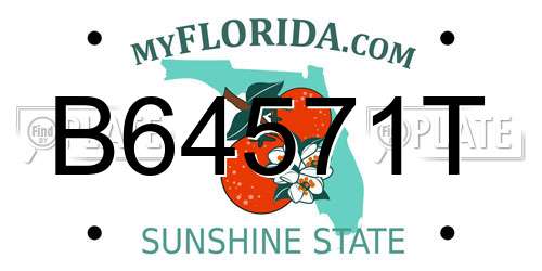 B64571T Florida License Plate