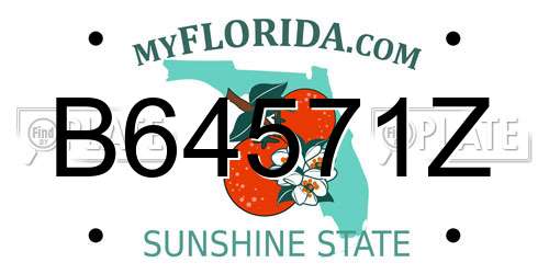 B64571Z Florida License Plate