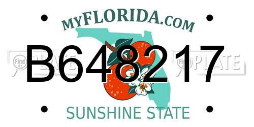 B648217 Florida License Plate