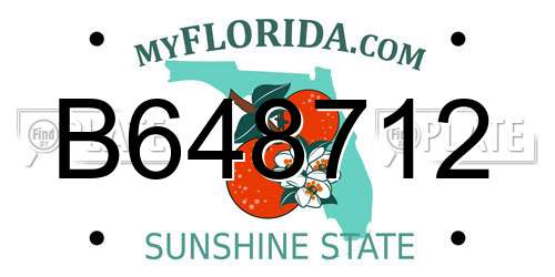 B648712 Florida License Plate