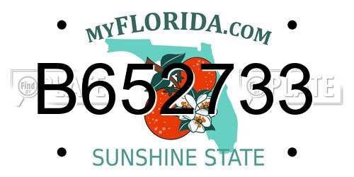 B652733 Florida License Plate