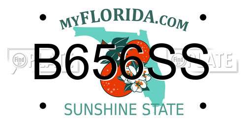 B656SS Florida License Plate
