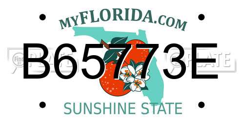 B65773E Florida License Plate