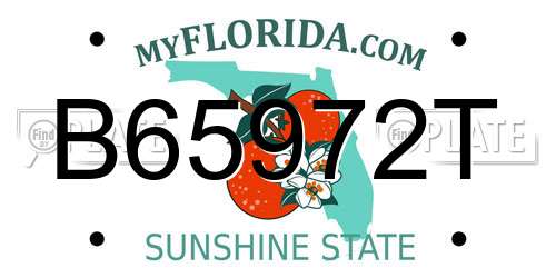B65972T Florida License Plate