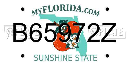 B65972Z Florida License Plate