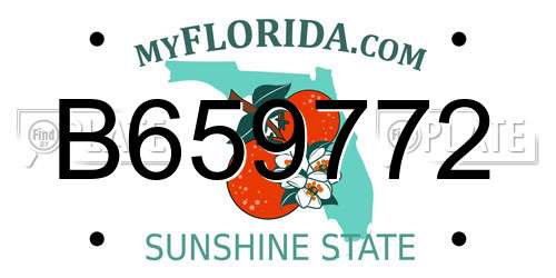 B659772 Florida License Plate