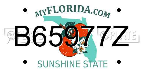 B65977Z Florida License Plate