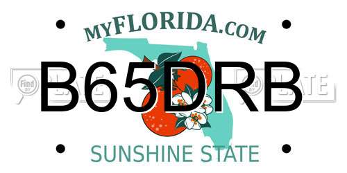 B65DRB Florida License Plate
