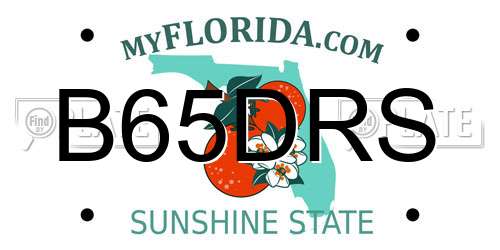 B65DRS Florida License Plate