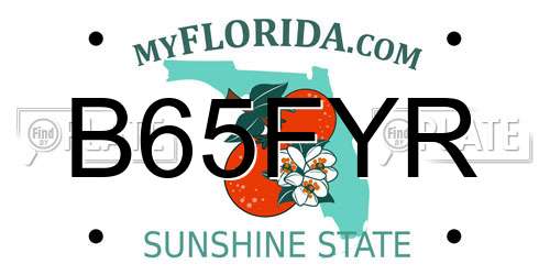 B65FYR Florida License Plate