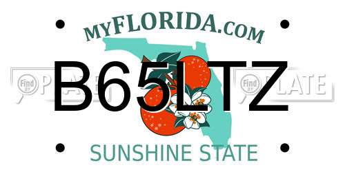 B65LTZ Florida License Plate