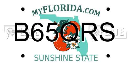 B65QRS Florida License Plate