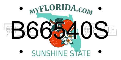 B66540S Florida License Plate