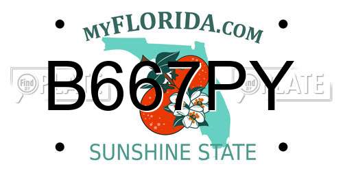 B667PY Florida License Plate