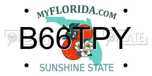 B66TPY Florida License Plate