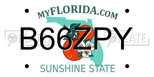 B66ZPY Florida License Plate