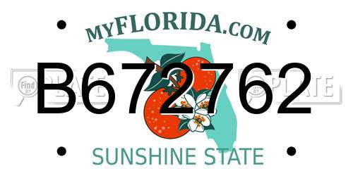 B672762 Florida License Plate
