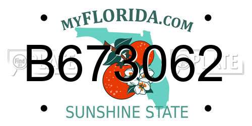 B673062 Florida License Plate
