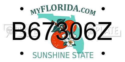 B67306Z Florida License Plate