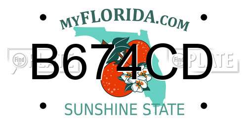 B674CD Florida License Plate
