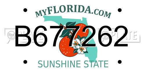 B677262 Florida License Plate