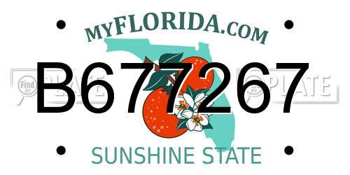 B677267 Florida License Plate