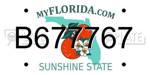 B677767 Florida License Plate