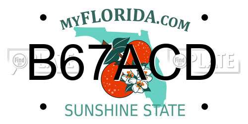B67ACD Florida License Plate