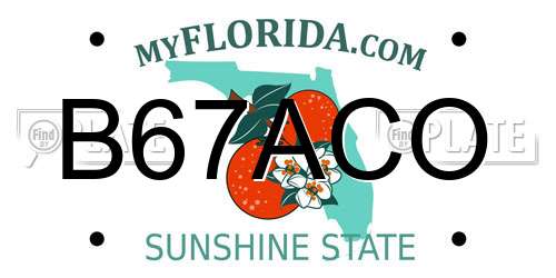 B67ACO Florida License Plate