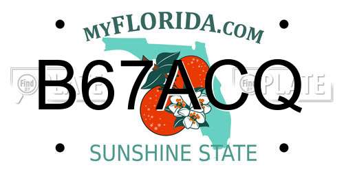 B67ACQ Florida License Plate