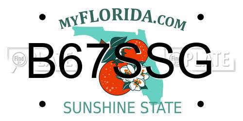 B67SSG Florida License Plate