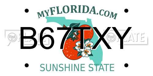 B67TXY Florida License Plate