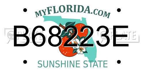 B68223E Florida License Plate
