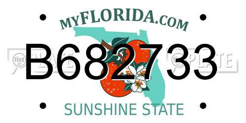 B682733 Florida License Plate
