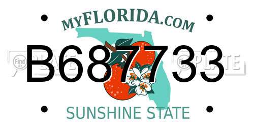B687733 Florida License Plate