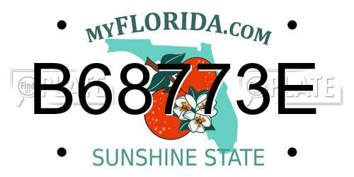 B68773E Florida License Plate